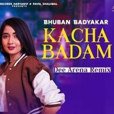 Kacha Badam Remix Dj Song Dee Arena